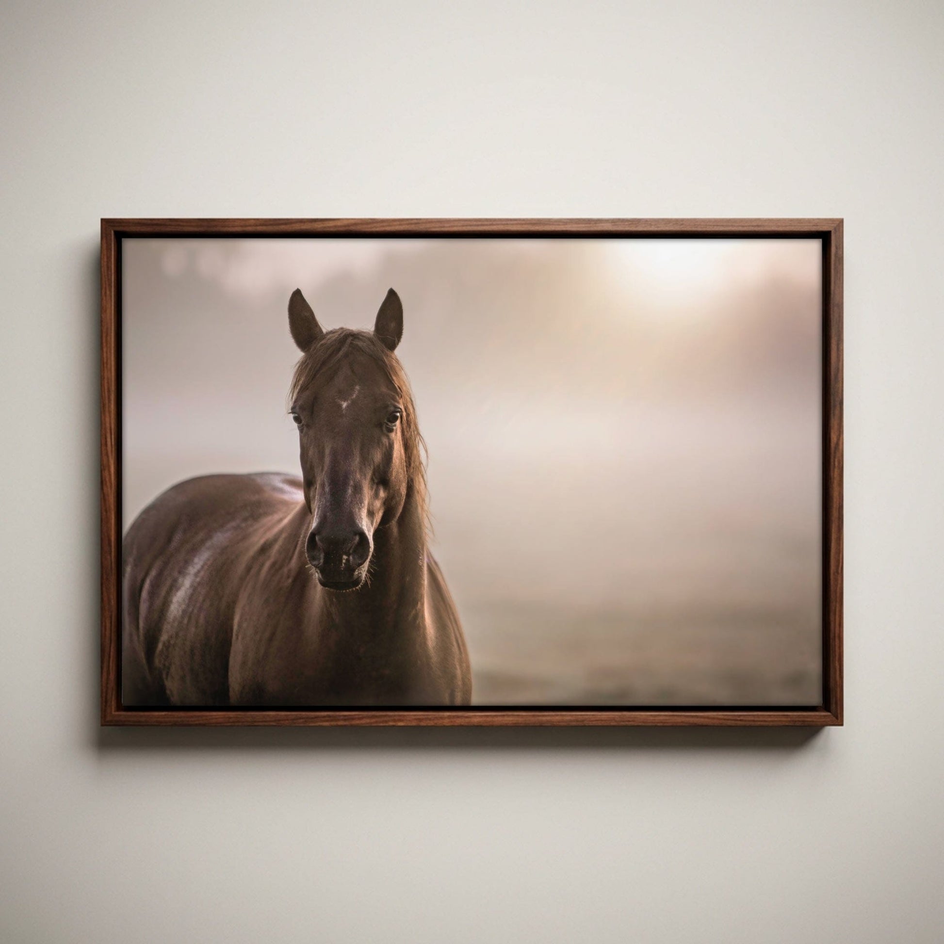 Horse Decor Canvas Print - Horse in Foggy Pasture Wall Art Teri James Photography