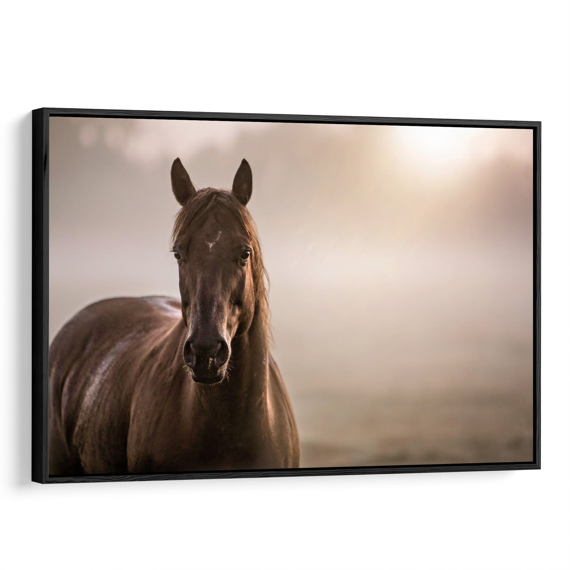 Horse Decor Canvas Print - Horse in Foggy Pasture Canvas-Black Frame / 12 x 18 Inches Wall Art Teri James Photography
