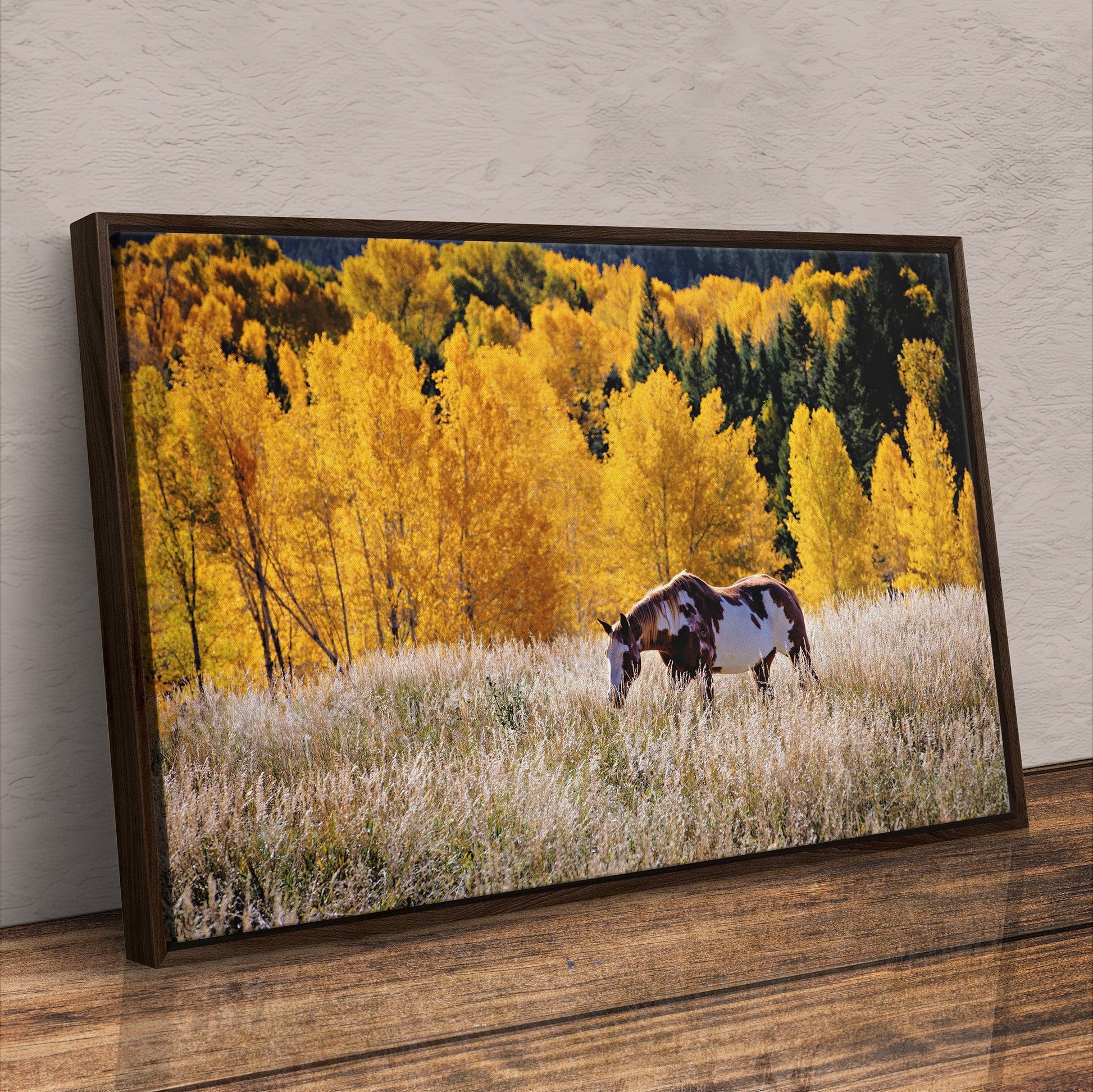 Horse Home Decor Canvas Wall Art Teri James Photography