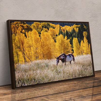 Horse Home Decor Canvas Wall Art Teri James Photography