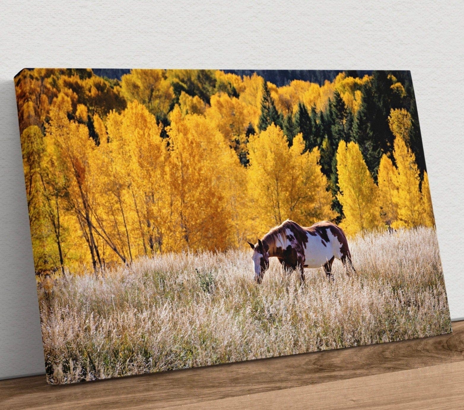 Horse Home Decor Canvas Canvas-Unframed / 12 x 18 Inches Wall Art Teri James Photography