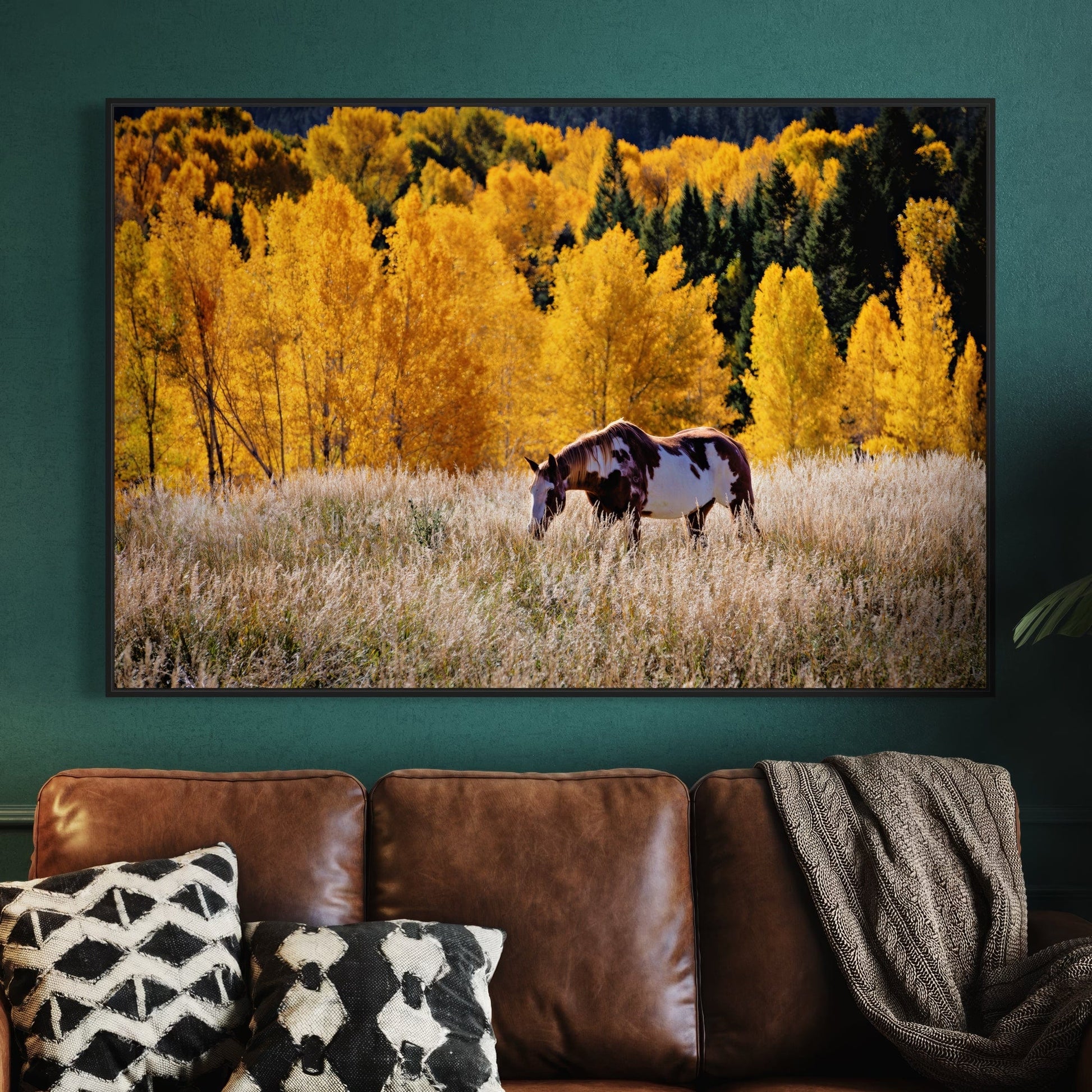Horse Home Decor Canvas Wall Art Teri James Photography