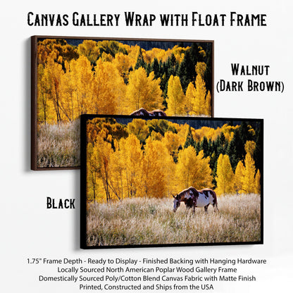 Horse Home Decor Canvas Canvas-Black Frame / 12 x 18 Inches Wall Art Teri James Photography
