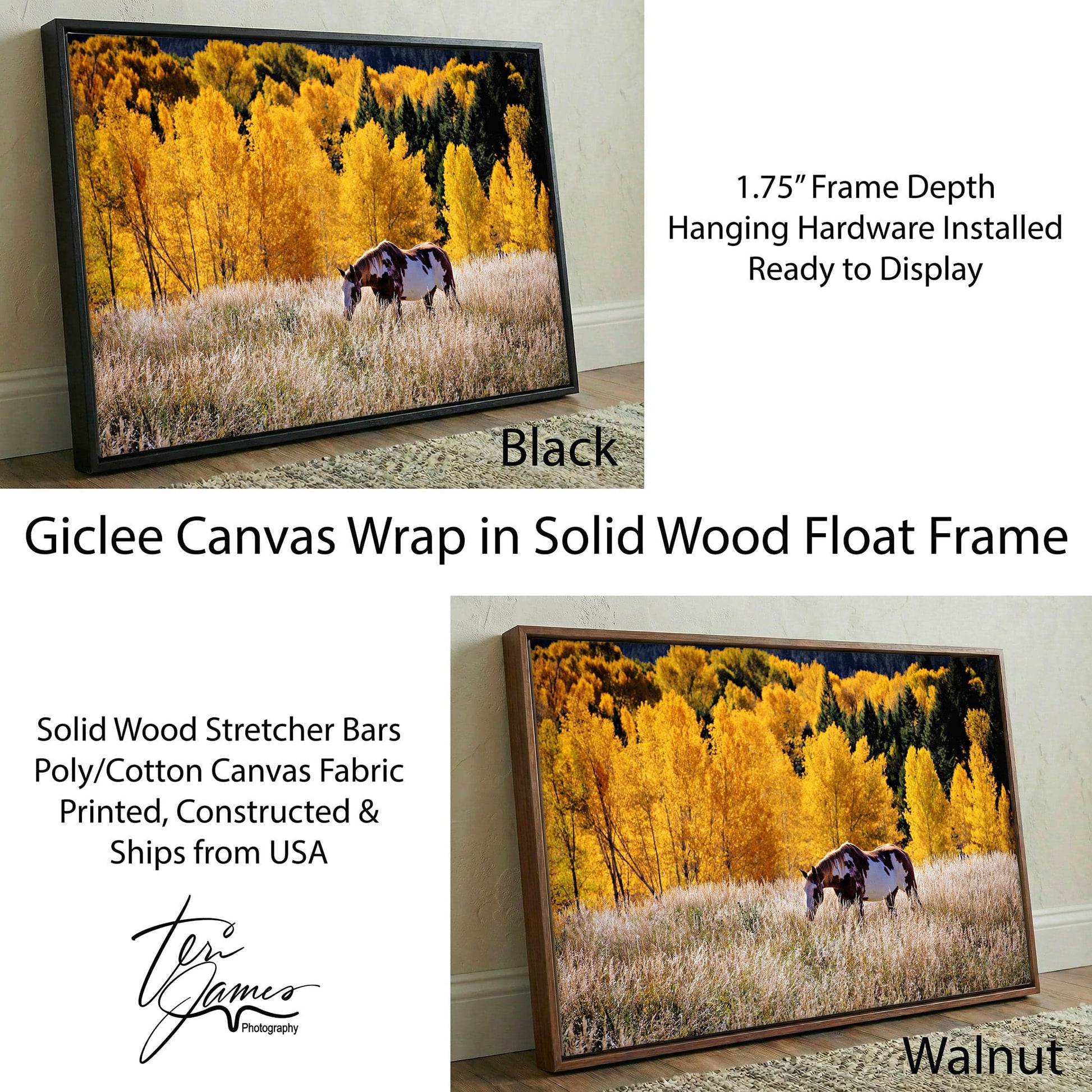 Horse Home Decor Canvas - Western Wall Art Featuring Paint Horse Canvas-Black Frame / 12 x 18 Inches Wall Art Teri James Photography