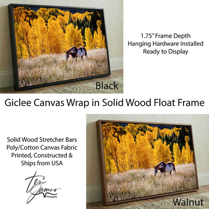 Horse Home Decor Canvas - Western Wall Art Featuring Paint Horse Canvas-Black Frame / 12 x 18 Inches Wall Art Teri James Photography