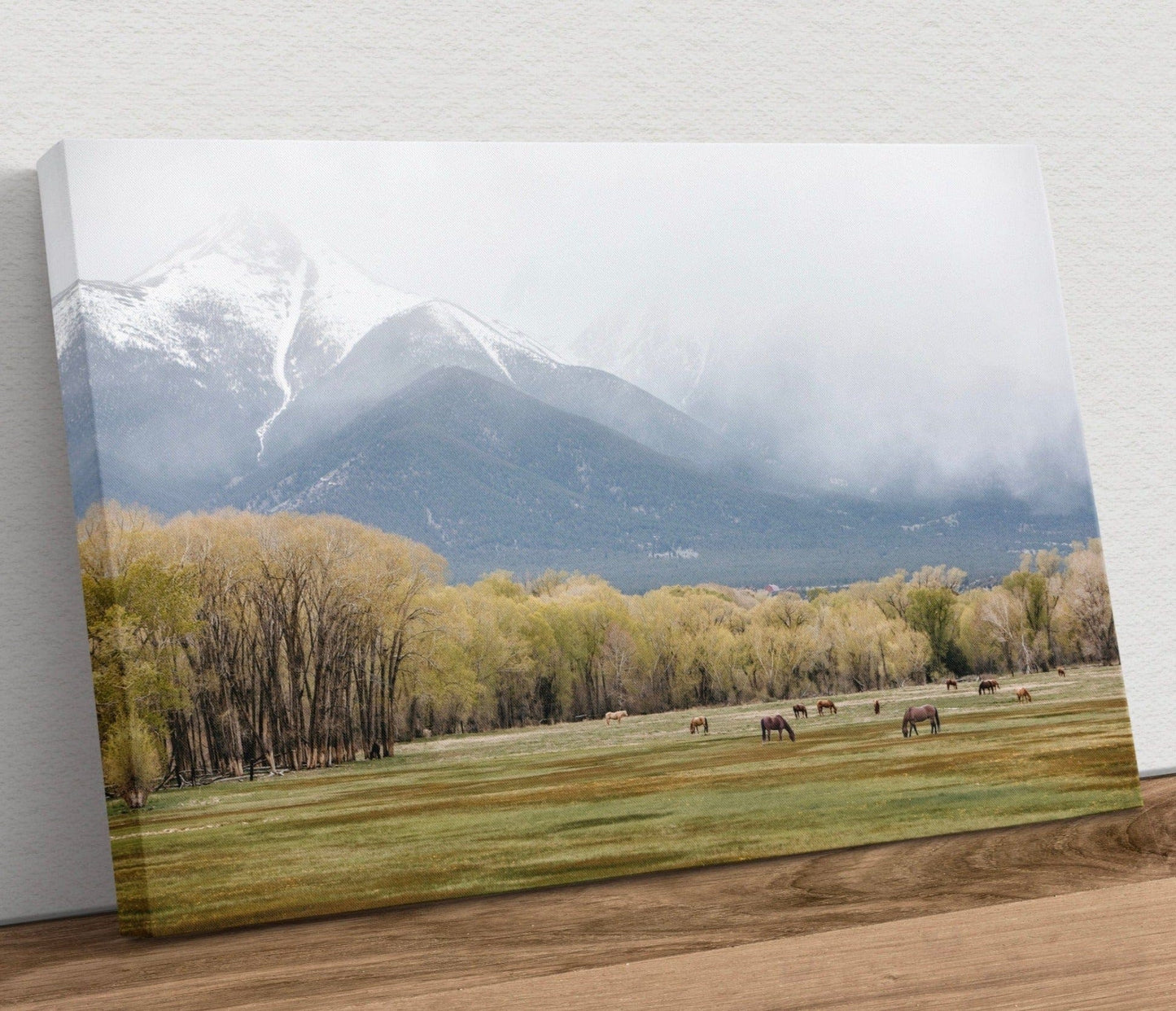 Horse Photography - Canvas Print of Horses in the Rocky Mountains Canvas-Unframed / 12 x 18 Inches Wall Art Teri James Photography