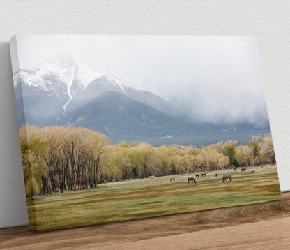 Horse Photography - Canvas Print of Horses in the Rocky Mountains Canvas-Unframed / 12 x 18 Inches Wall Art Teri James Photography