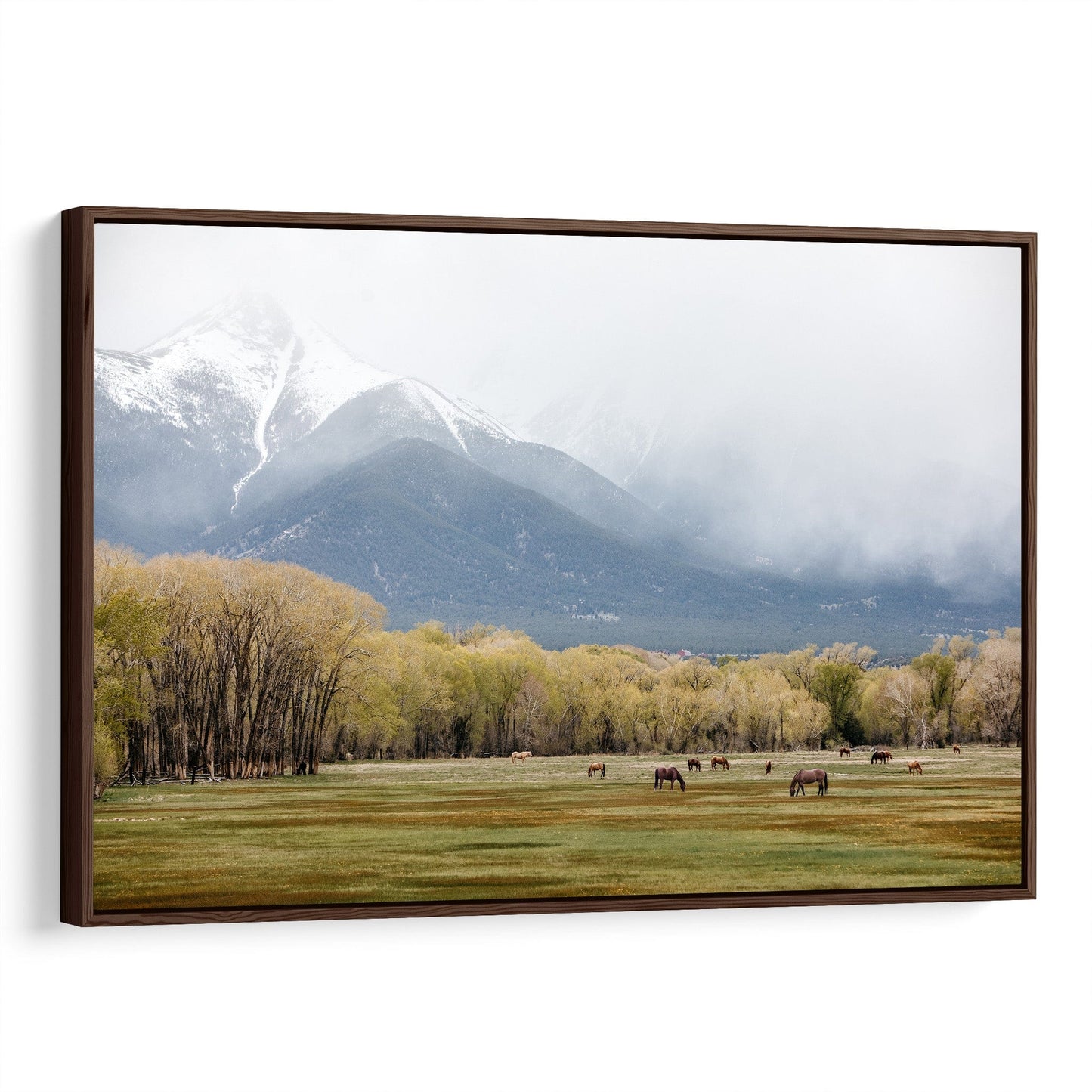 Horse Photography - Canvas Print of Horses in the Rocky Mountains Canvas-Walnut Frame / 12 x 18 Inches Wall Art Teri James Photography