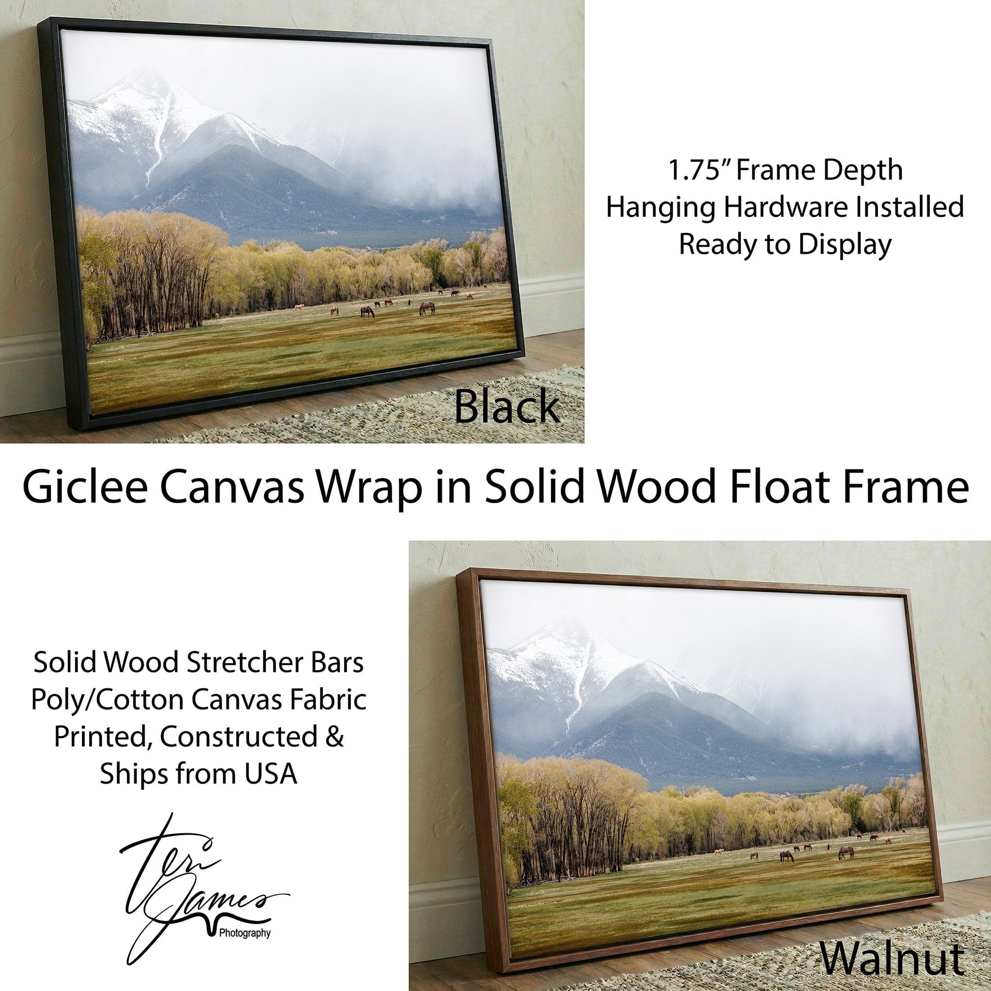 Horse Photography Canvas - Wild Horses Print | Rocky Mountains Art Canvas-Black Frame / 12 x 18 Inches Wall Art Teri James Photography