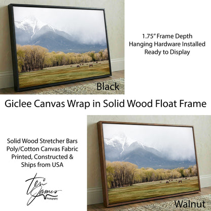 Horse Photography Canvas - Wild Horses Print | Rocky Mountains Art Canvas-Black Frame / 12 x 18 Inches Wall Art Teri James Photography