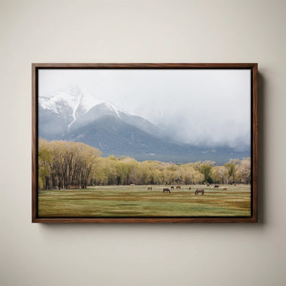 Horse Photography Canvas - Wild Horses Print