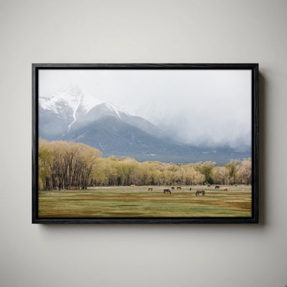 Horse Photography Canvas - Wild Horses Print