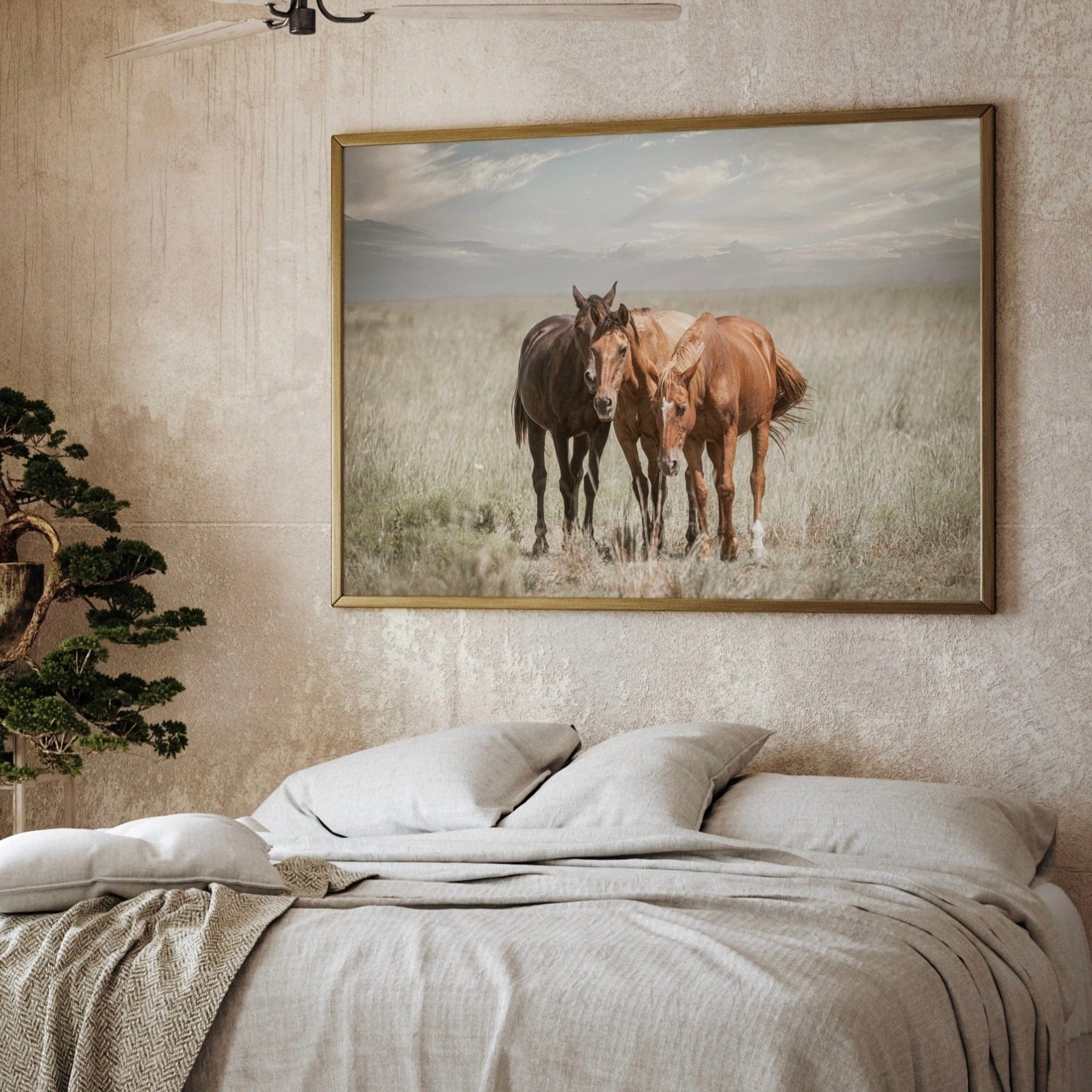 Horse Wall Art - Old Friends on the Osage Wall Art Teri James Photography