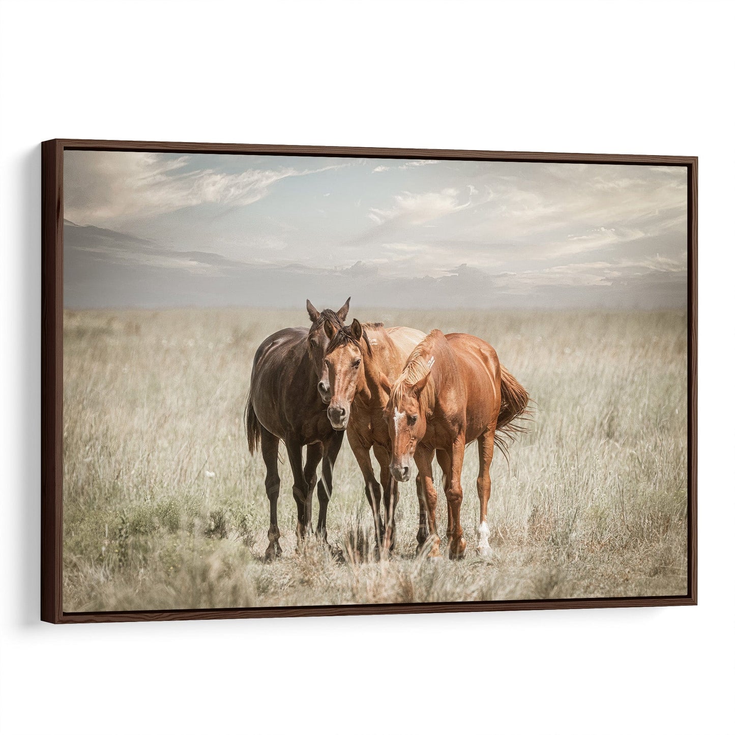 Horse Wall Art Old Friends on the Osage Canvas-Walnut Frame / 12 x 18 Inches Wall Art Teri James Photography