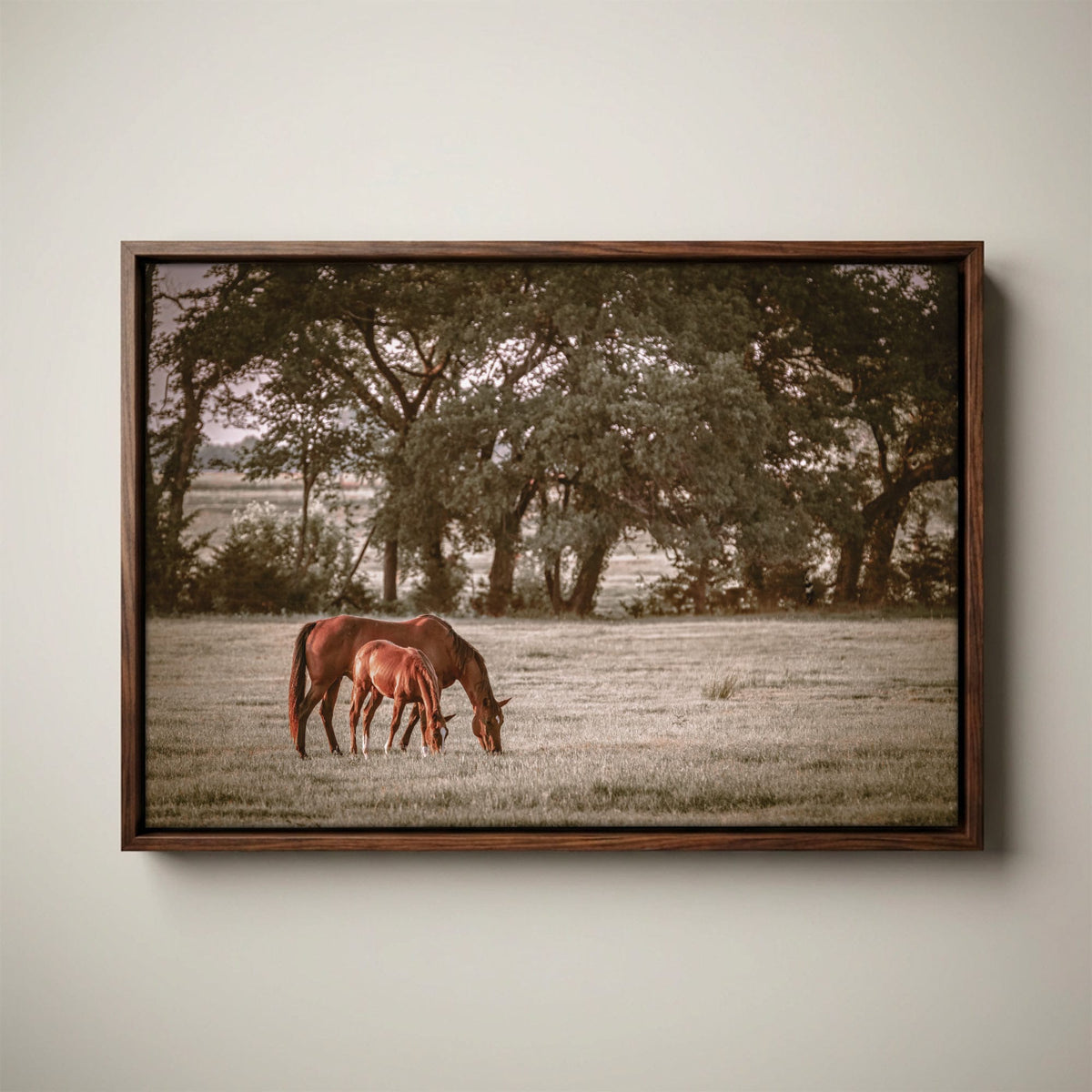 Horse Wall Art - Western Ranch Decor