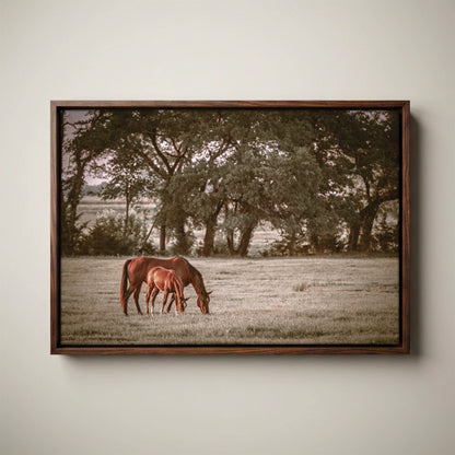 Horse Wall Art - Western Ranch Decor