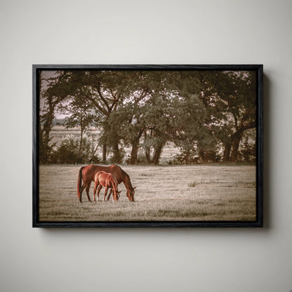 Horse Wall Art - Western Ranch Decor