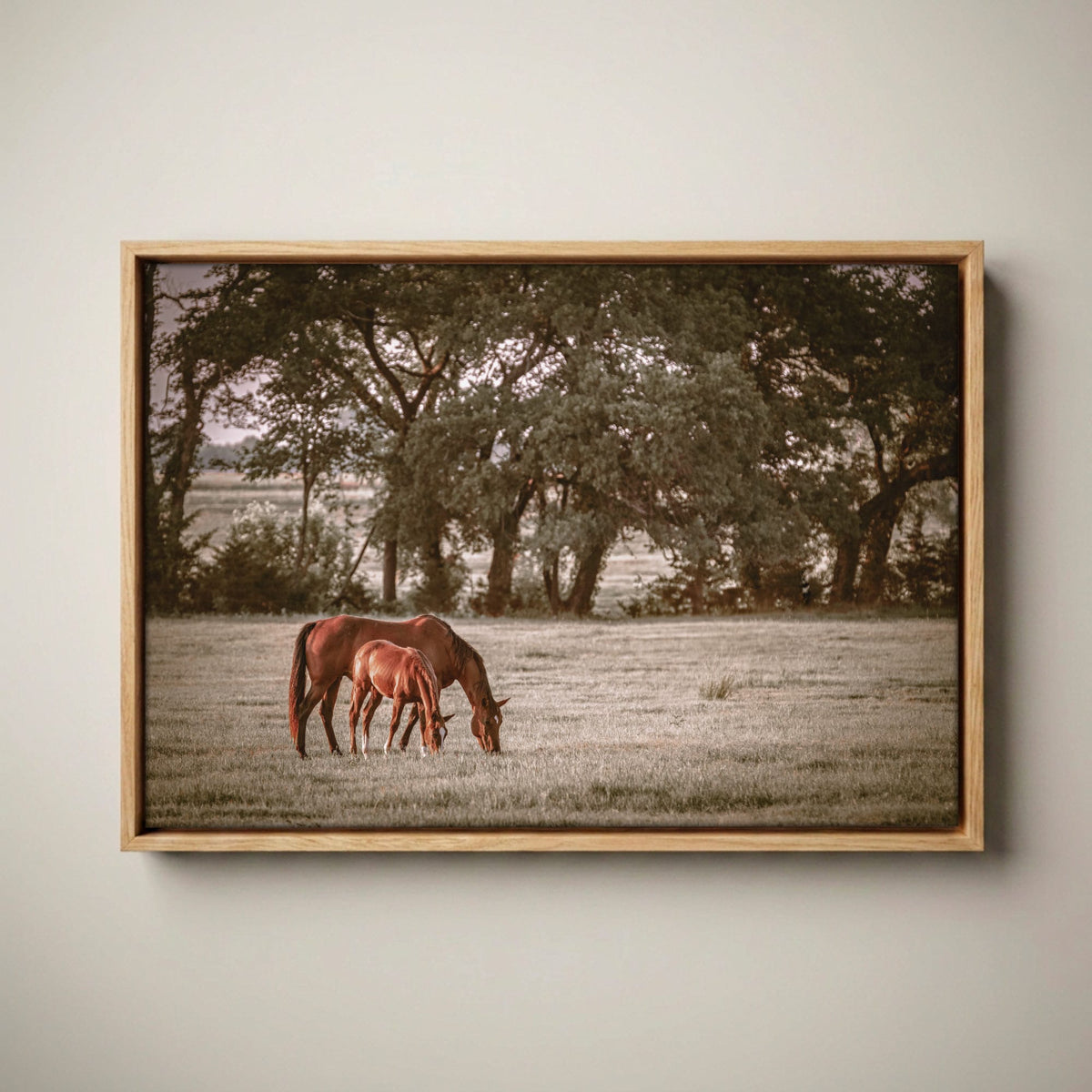 Horse Wall Art - Western Ranch Decor Canvas-Natural Oak Float Frame / 12 x 18 Inches