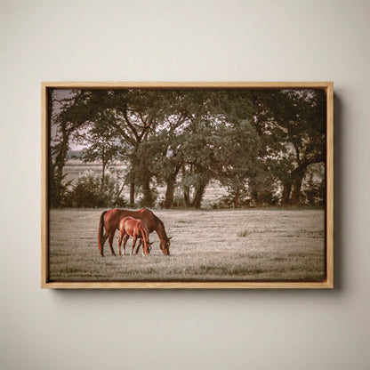 Horse Wall Art - Western Ranch Decor Canvas-Natural Oak Float Frame / 12 x 18 Inches