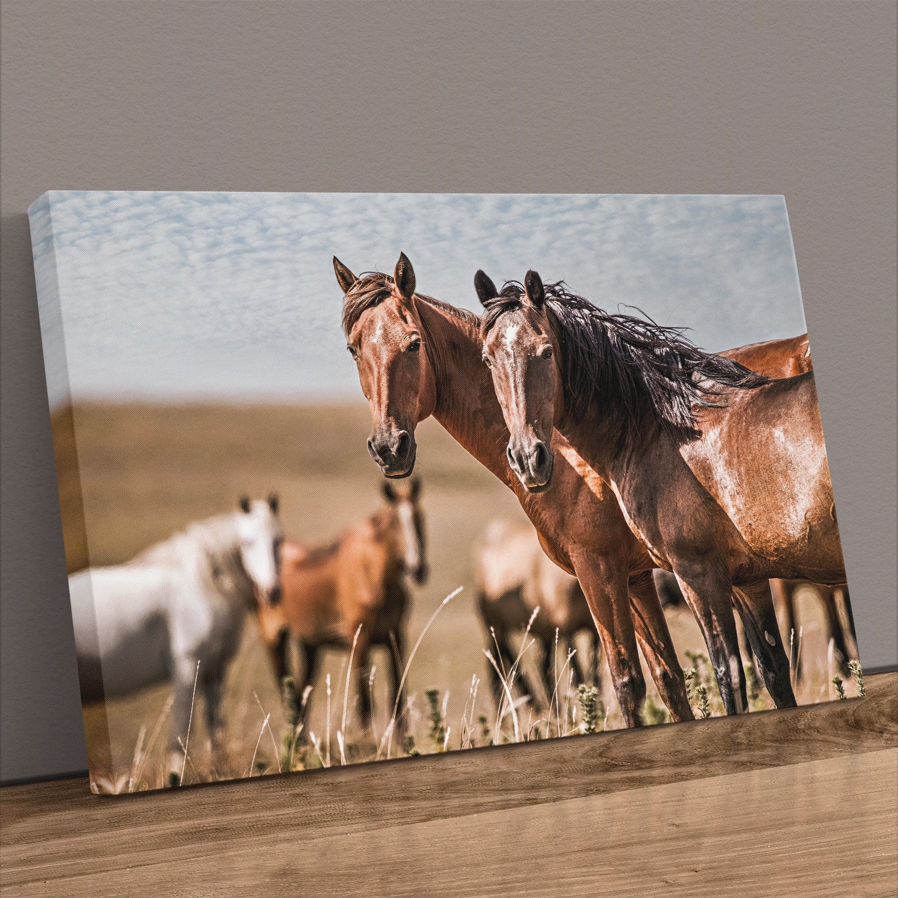 Horse Wall Art - Wild Horses of Osage County Canvas-Unframed / 12 x 18 Inches