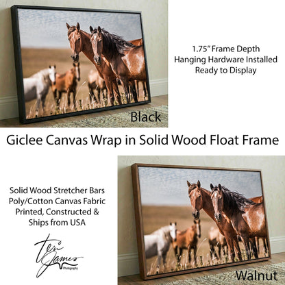 Horse Wall Art - Wild Horses of Osage County Canvas-Black Frame / 12 x 18 Inches
