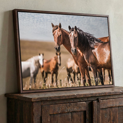 Horse Wall Art - Wild Horses of Osage County Canvas-Walnut Frame / 12 x 18 Inches