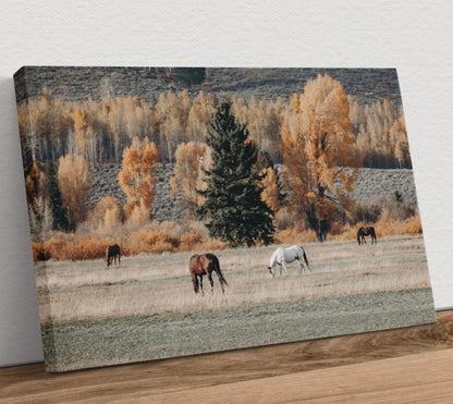 Horses in Fall Foliage Large Canvas Art Canvas-Unframed / 12 x 18 Inches Wall Art Teri James Photography