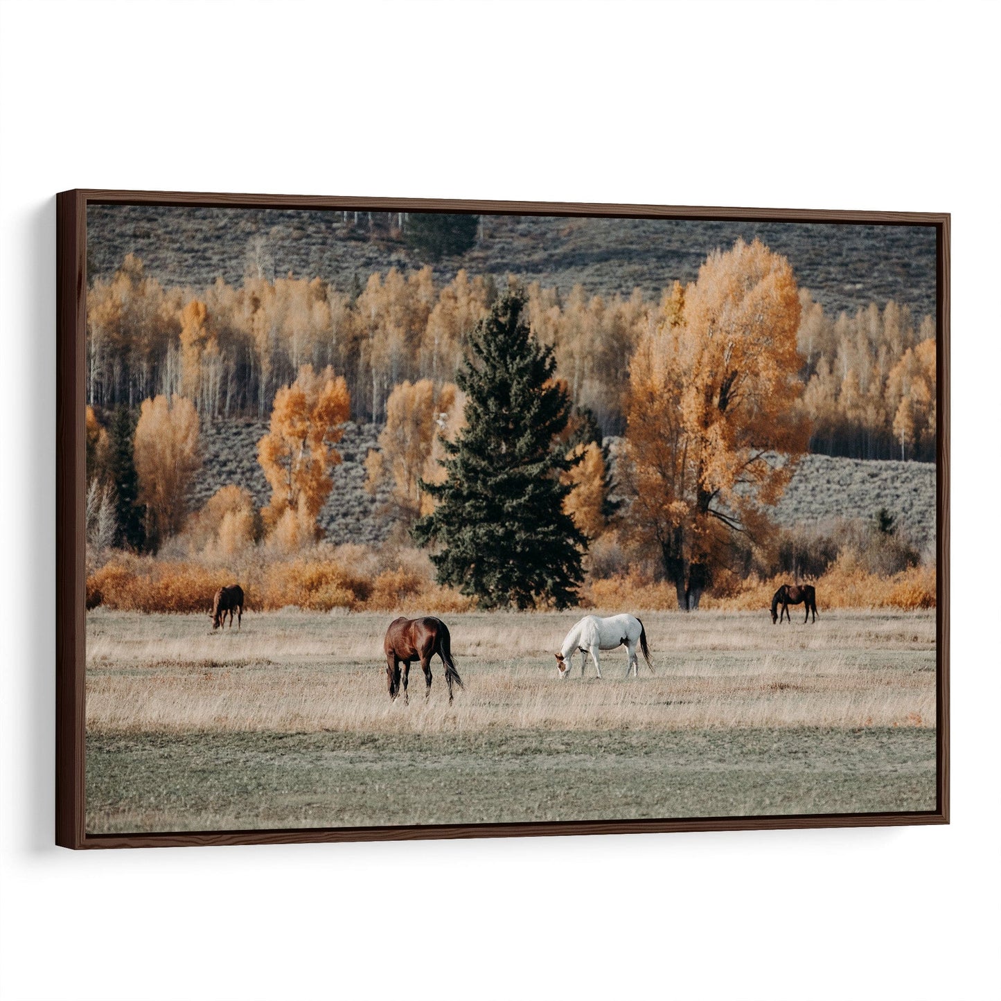 Horses in Fall Foliage Large Canvas Art Canvas-Walnut Frame / 12 x 18 Inches Wall Art Teri James Photography