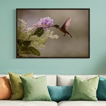 Hummingbird and Wisteria Photo Print Wall Art Teri James Photography