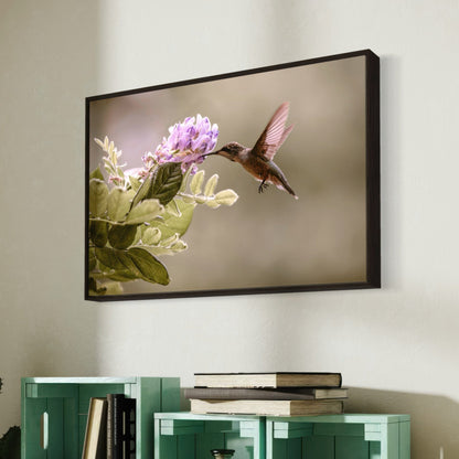 Hummingbird and Wisteria Photo Print Wall Art Teri James Photography