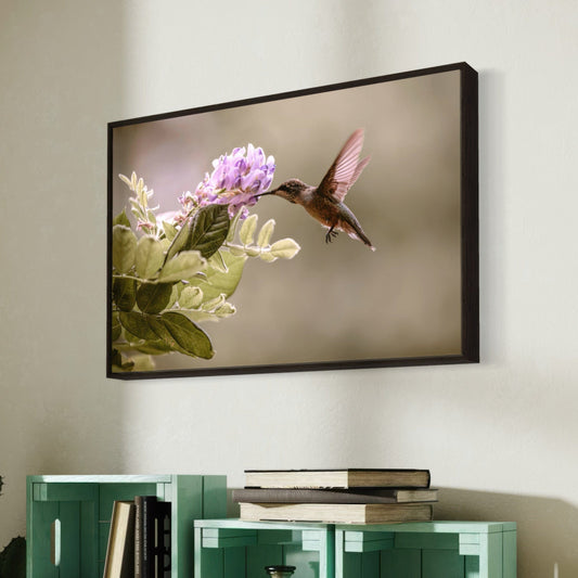 Hummingbird and Wisteria Photo Print Wall Art Teri James Photography