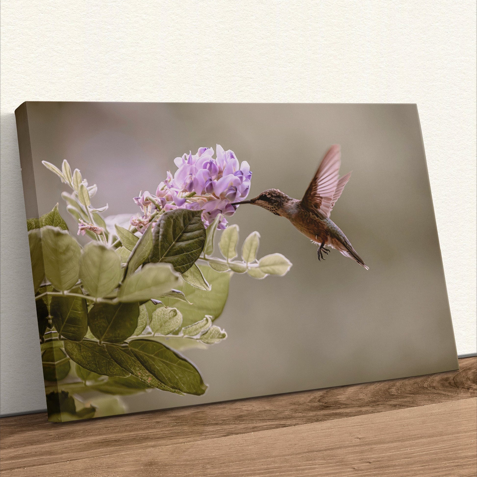 Hummingbird and Wisteria Photo Print Wall Art Teri James Photography