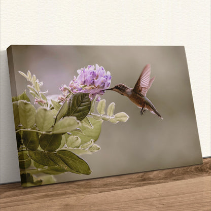 Hummingbird and Wisteria Photo Print Wall Art Teri James Photography