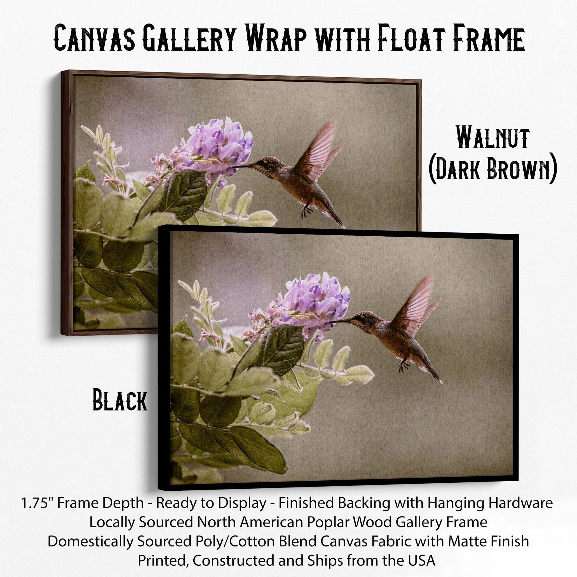 Hummingbird and Wisteria Photo Print Wall Art Teri James Photography