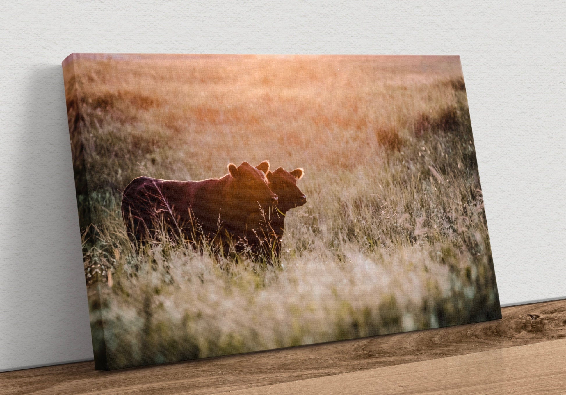 Large Black Angus Wall Art Canvas Canvas-Unframed / 12 x 18 Inches Wall Art Teri James Photography