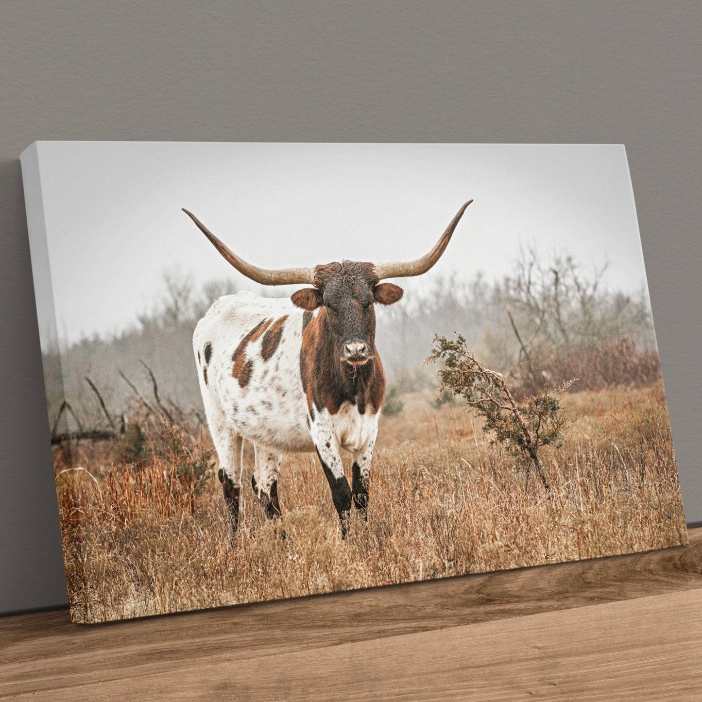 Large Longhorn Western Wall Art Canvas-Unframed / 12 x 18 Inches Wall Art Teri James Photography