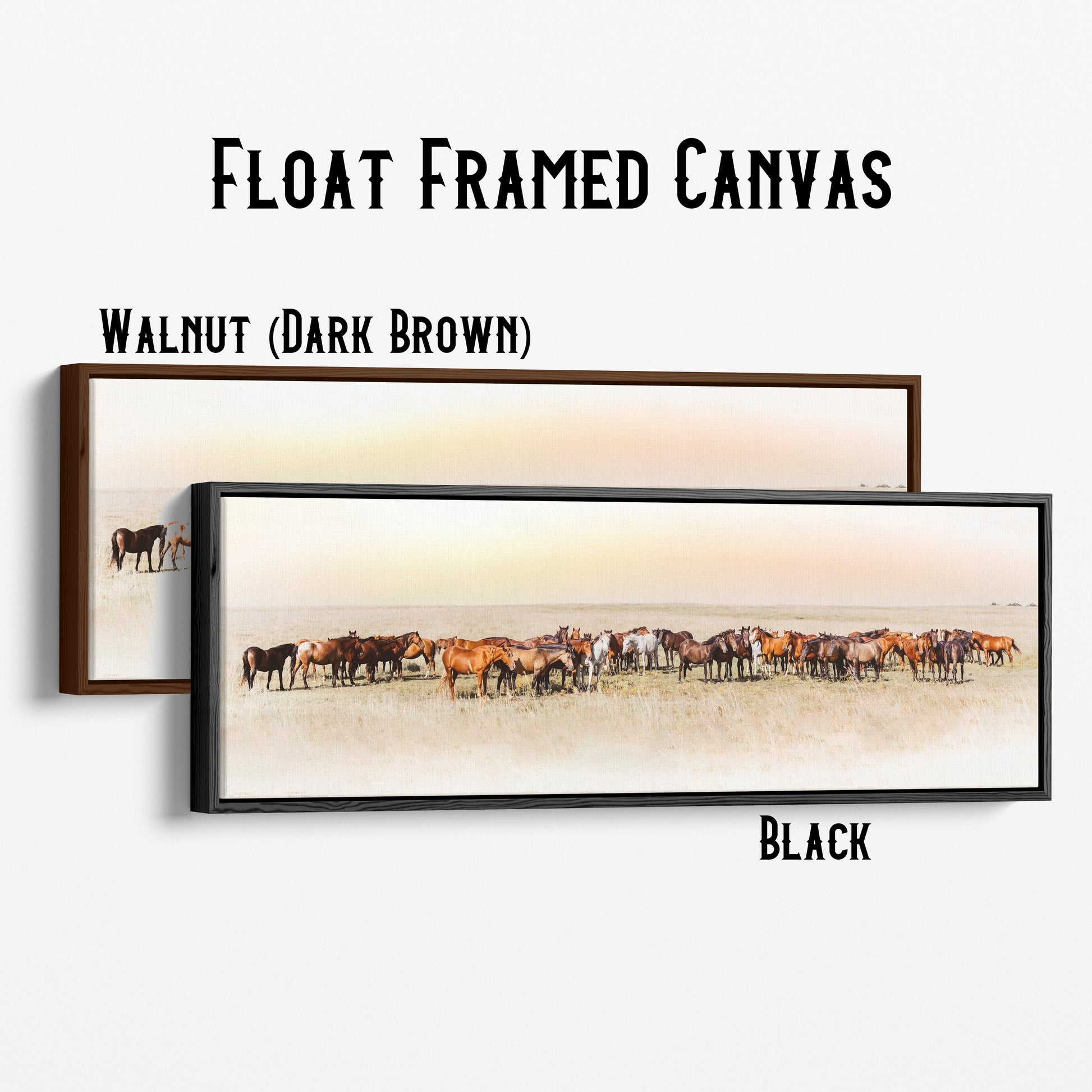 Large Panoramic Wild Horse Canvas Canvas-Black Frame / 12 x 36 Inches Wall Art Teri James Photography