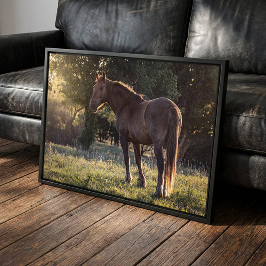 Large Western Wall Art - Horse Canvas Print Canvas-Black Frame / 12 x 18 Inches