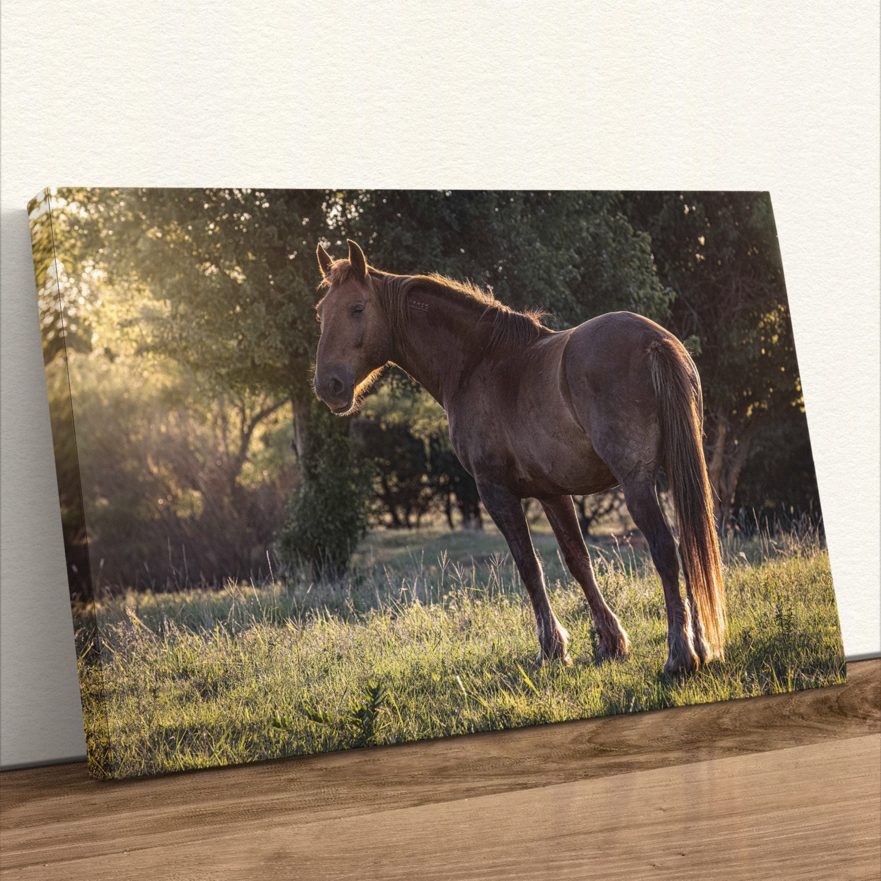 Large Western Wall Art - Horse Canvas Print Canvas-Unframed / 12 x 18 Inches
