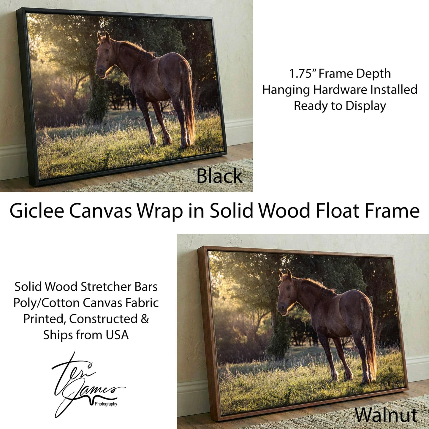 Large Western Wall Art - Horse Canvas Print