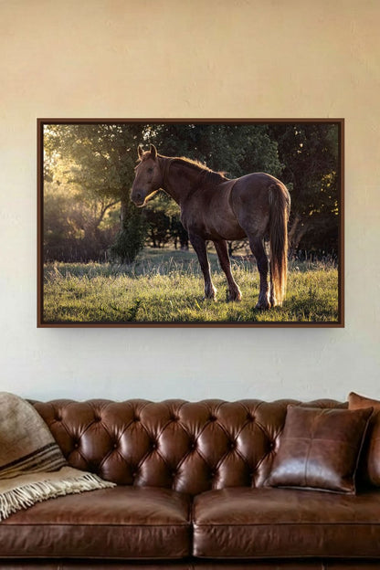 Large Western Wall Art - Horse Canvas Print
