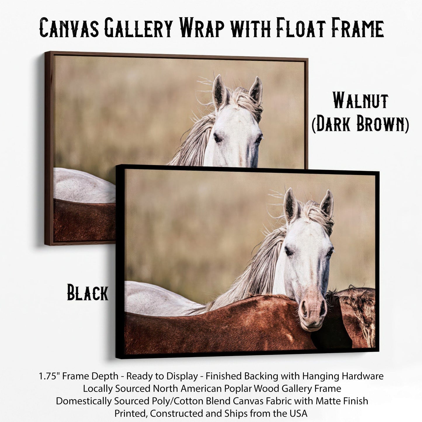 Large Wild Horse Artwork Canvas-Black Frame / 12 x 18 Inches Wall Art Teri James Photography