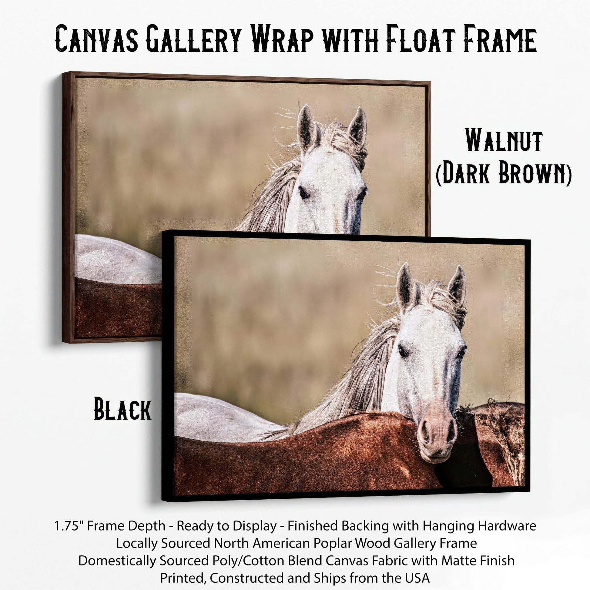 Large Wild Horse Artwork Canvas-Black Frame / 12 x 18 Inches Wall Art Teri James Photography