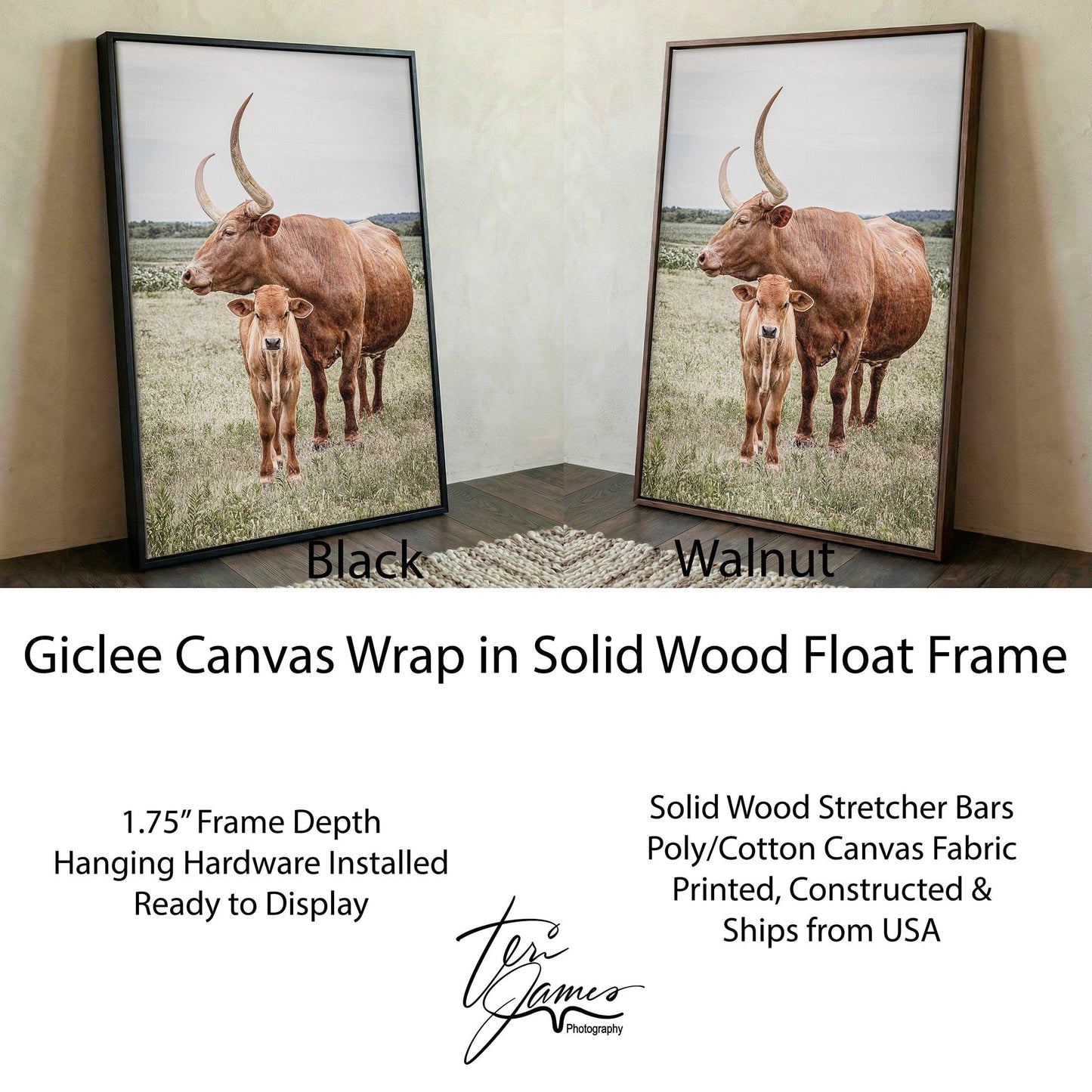Longhorn Art Canvas - Texas Wall Art Rustic Home Decor for Living Room Canvas-Black Frame / 12 x 18 Inches Wall Art Teri James Photography