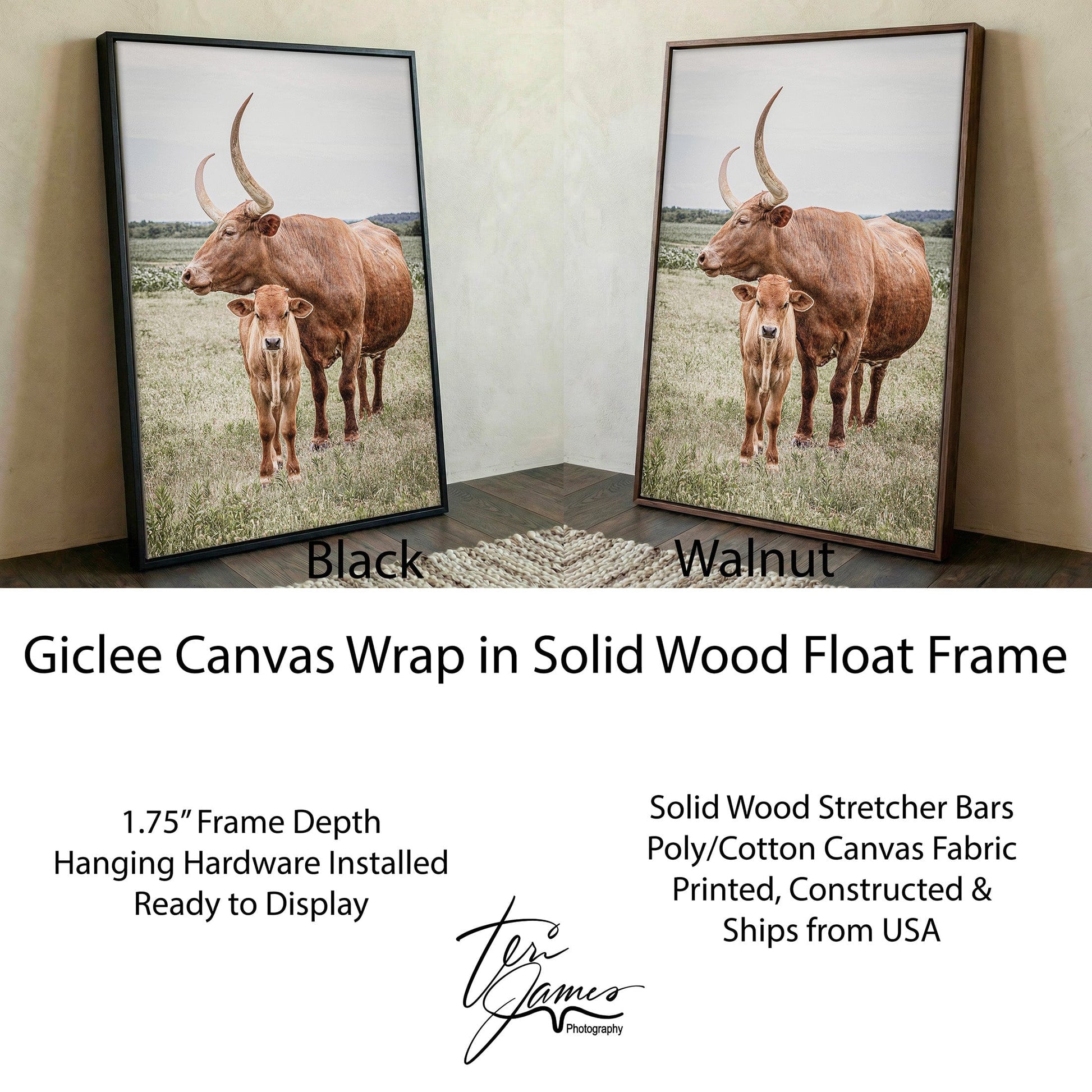 Longhorn Art Canvas - Texas Wall Art Rustic Home Decor for Living Room Canvas-Black Frame / 12 x 18 Inches Wall Art Teri James Photography