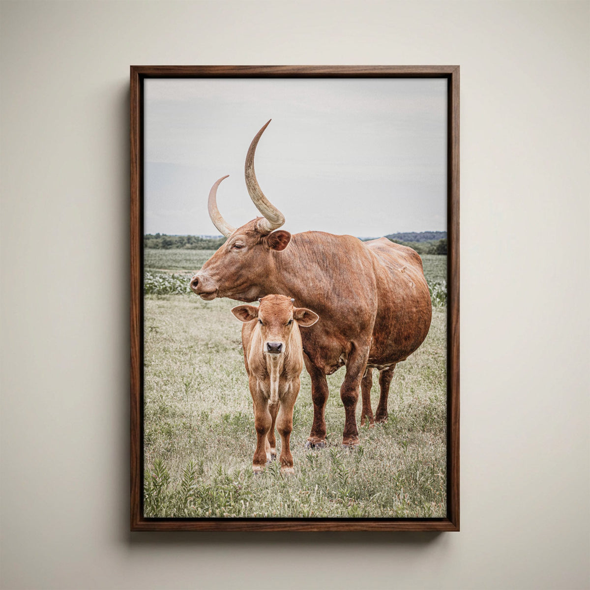 Longhorn Art Canvas - Texas Wall Art Rustic Home Decor