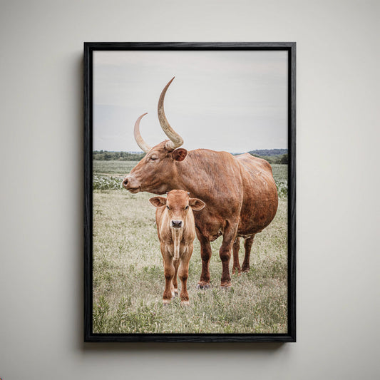 Longhorn Art Canvas - Texas Wall Art Rustic Home Decor