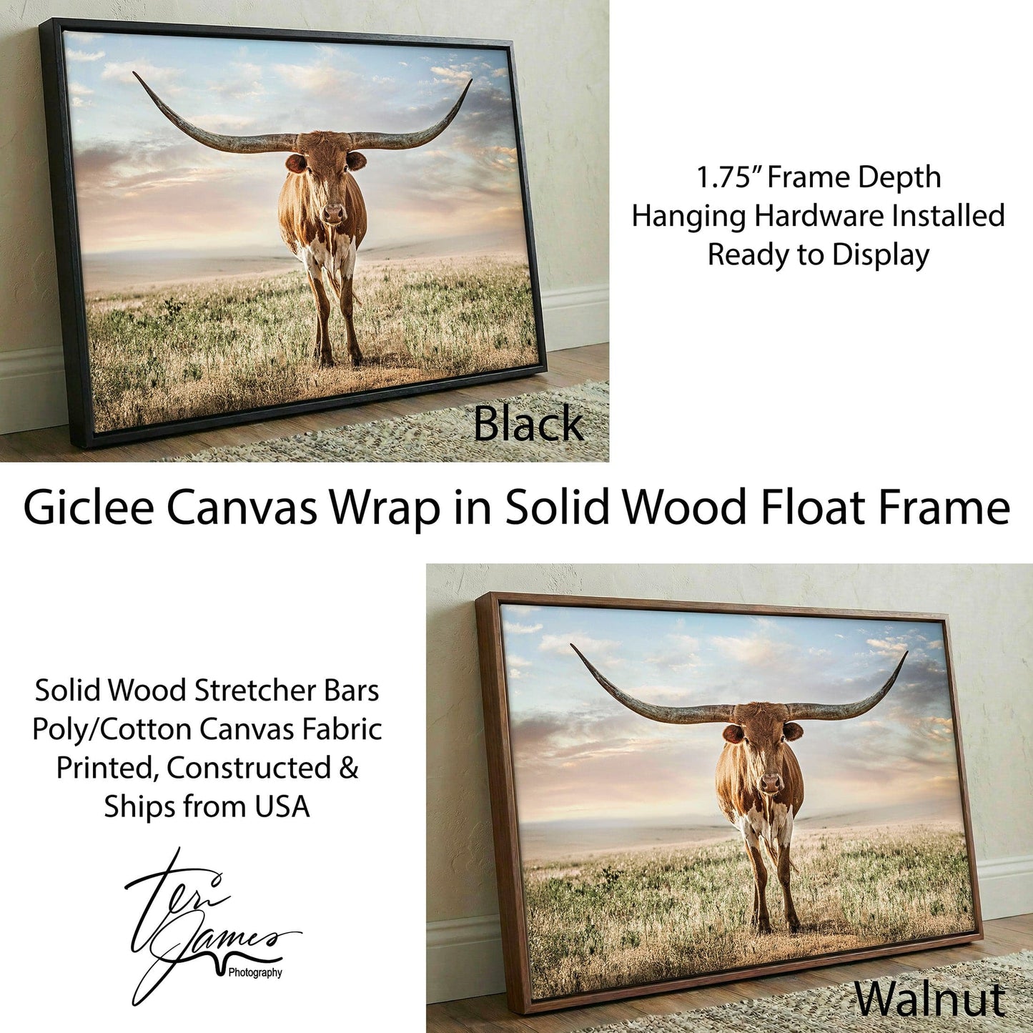 Longhorn Artwork Canvas Print – Texas Longhorn Wall Art Rustic Decor Canvas-Black Frame / 12 x 18 Inches Wall Art Teri James Photography