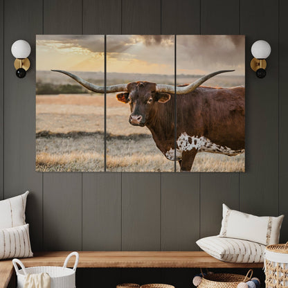 Longhorn Artwork Extra Large Canvas Triptych Wall Art Teri James Photography