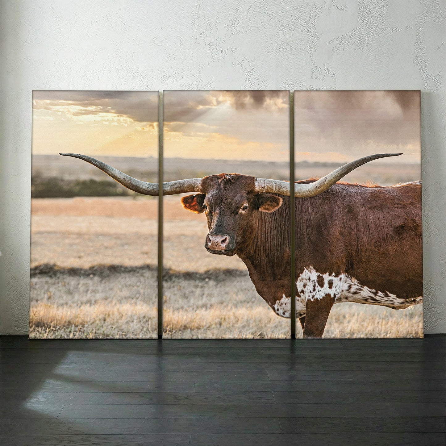 Longhorn Artwork Extra Large Canvas Triptych 48" x 72" (3 @ 24" x 48") Wall Art Teri James Photography